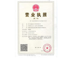 LICENSE OF CHINESE COMPANY